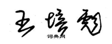 朱錫榮王培彪草書個性簽名怎么寫