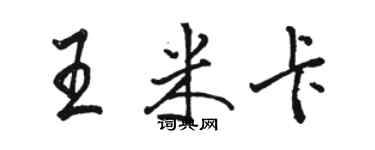 駱恆光王米卡行書個性簽名怎么寫