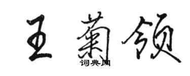 駱恆光王菊領行書個性簽名怎么寫