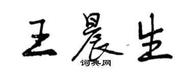 曾慶福王晨生行書個性簽名怎么寫