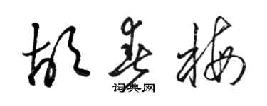 駱恆光胡春梅草書個性簽名怎么寫