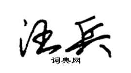 朱錫榮汪兵草書個性簽名怎么寫