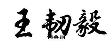 胡問遂王韌毅行書個性簽名怎么寫