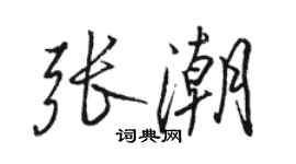 駱恆光張潮行書個性簽名怎么寫