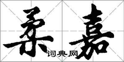 胡問遂柔嘉行書怎么寫