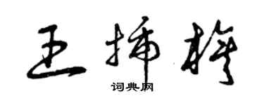 曾慶福王插旗草書個性簽名怎么寫