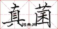 駱恆光真菌楷書怎么寫