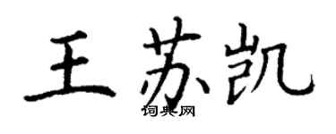 丁謙王蘇凱楷書個性簽名怎么寫