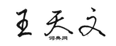 駱恆光王天文行書個性簽名怎么寫