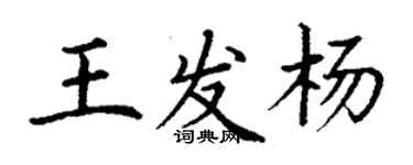 丁謙王發楊楷書個性簽名怎么寫