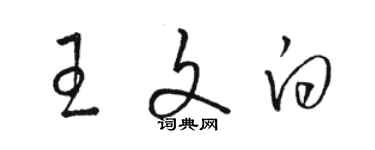 駱恆光王文白草書個性簽名怎么寫