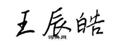 王正良王辰皓行書個性簽名怎么寫