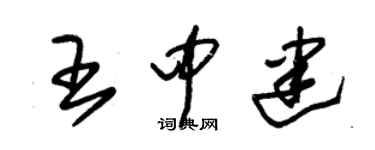 朱錫榮王中建草書個性簽名怎么寫