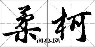 胡問遂柔柯行書怎么寫