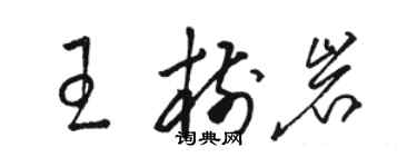 駱恆光王樹岩草書個性簽名怎么寫