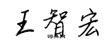 王正良王智宏行書個性簽名怎么寫