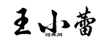 胡問遂王小蕾行書個性簽名怎么寫