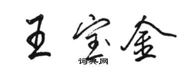 駱恆光王寶金行書個性簽名怎么寫