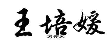 胡問遂王培媛行書個性簽名怎么寫