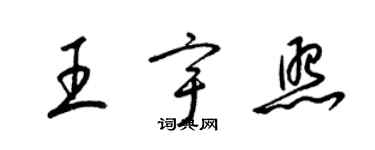 梁錦英王宇照草書個性簽名怎么寫