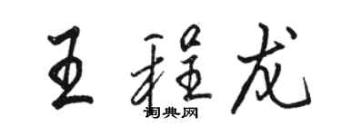 駱恆光王程龍行書個性簽名怎么寫
