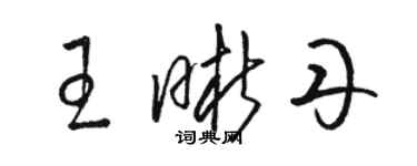 駱恆光王晰丹草書個性簽名怎么寫