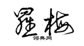 曾慶福羅梅草書個性簽名怎么寫