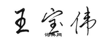 駱恆光王寶偉行書個性簽名怎么寫