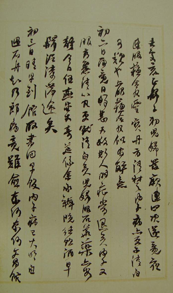 何紹基草書《種竹日記》