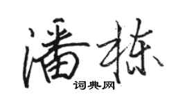 駱恆光潘棟行書個性簽名怎么寫