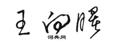 駱恆光王向曙草書個性簽名怎么寫