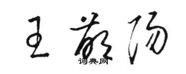 駱恆光王萌陽草書個性簽名怎么寫