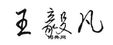 駱恆光王毅凡行書個性簽名怎么寫