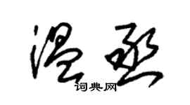 朱錫榮溫丞草書個性簽名怎么寫