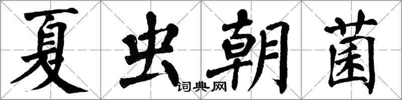 翁闓運夏蟲朝菌楷書怎么寫