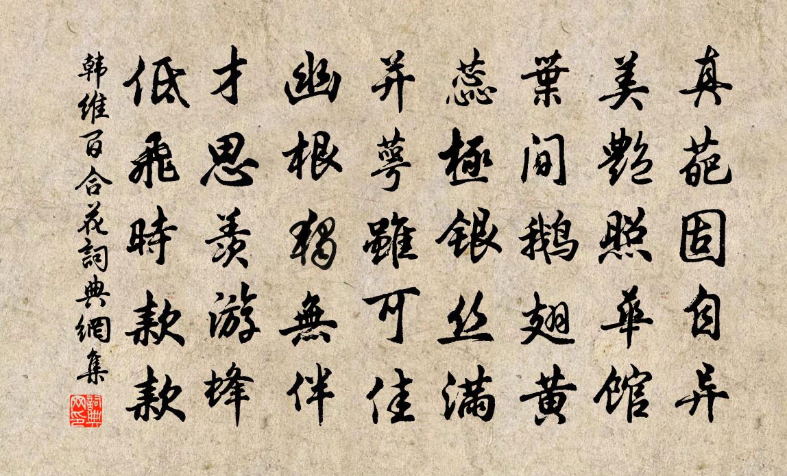 韓維百合花書法作品欣賞