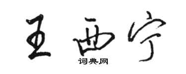 駱恆光王西寧行書個性簽名怎么寫