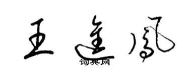 梁錦英王進鳳草書個性簽名怎么寫