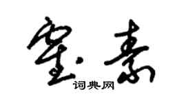 朱錫榮霍素草書個性簽名怎么寫