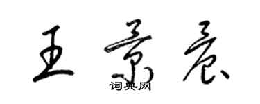 梁錦英王景晨草書個性簽名怎么寫