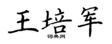 丁謙王培軍楷書個性簽名怎么寫