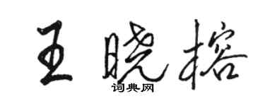 駱恆光王曉榕行書個性簽名怎么寫