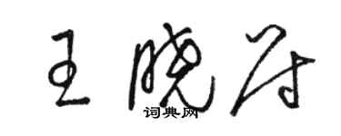 駱恆光王曉尉草書個性簽名怎么寫