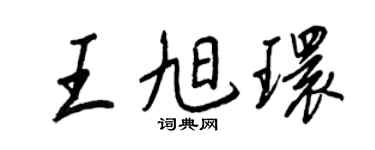 王正良王旭環行書個性簽名怎么寫