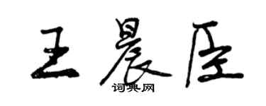 曾慶福王晨臣行書個性簽名怎么寫