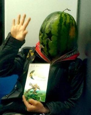 一隻跟主人同吃同睡的喜鵲 還擁有上千名冬粉