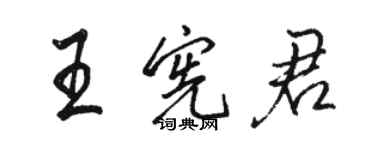 駱恆光王憲君行書個性簽名怎么寫