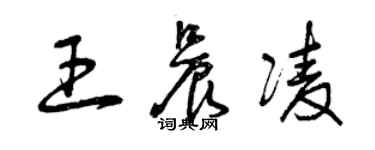 曾慶福王晨凌草書個性簽名怎么寫