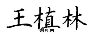 丁謙王植林楷書個性簽名怎么寫