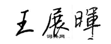王正良王展暉行書個性簽名怎么寫